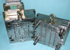 Medical Mold